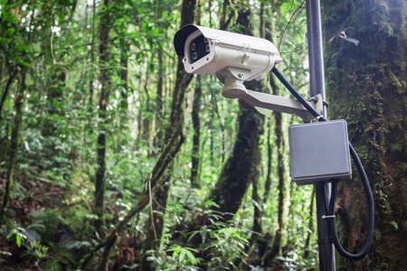 White CCTV surveillance camera security in forest.の写真素材