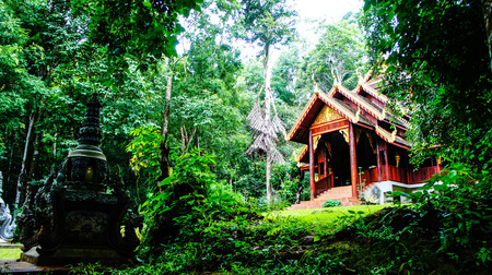 The Forest Templeの写真素材