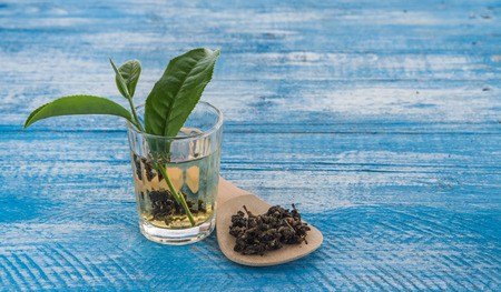 Tea and fresh tea leaves in a cup on a wooden blue. Focus on the glass.の写真素材