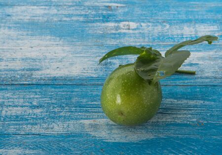 Green also fresh fruit inedible. Place the timber on a background of blue and white. Passion Fruit Focus.の写真素材