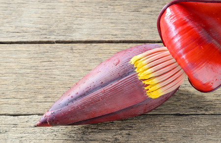 One banana blossom placed on wooden floor.の写真素材