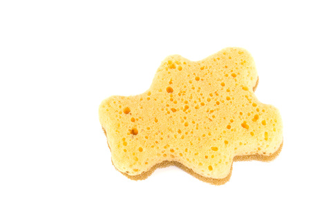 Bear dishwashing sponge isolated on white background.