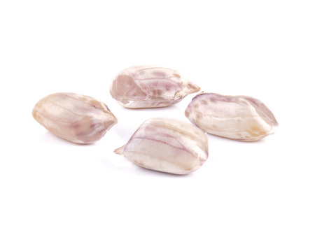 Proundnut,Peanut isolated on white background.