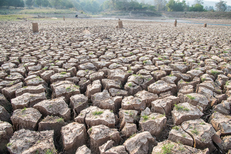 Cracked earth,Drought,Dry land,Dry tree,Dry Dam.Selective focus on Cracked earth.の写真素材