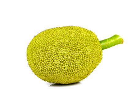 Young Jackfruit isolated on white background.