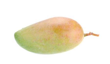 Fresh Mango , Green Mango isolated on white background.