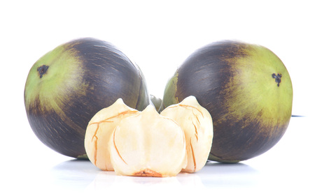 Toddy Palm,Palmyra palm isolated on white background.の写真素材