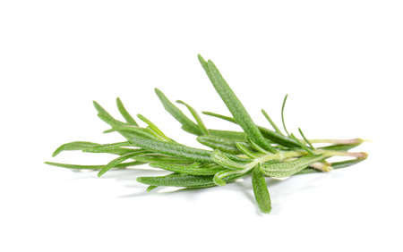 Rosemary isolated on white background.の写真素材