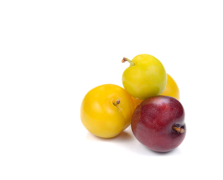Yellow,Red Ripe plum isolated on white background.の写真素材