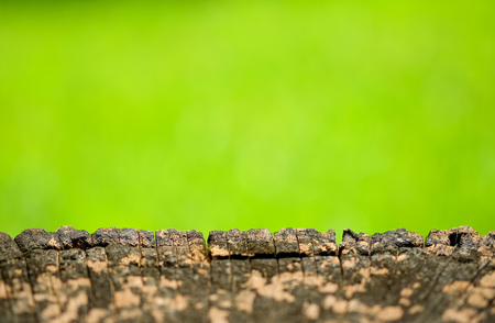 Wooden floor on green blurred background.の写真素材