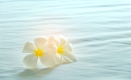 Plumeria flowers on the bed.の写真素材