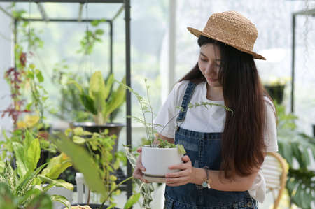 Young woman planting and caring for trees in greenhouses, planting and caring equipment, small business.の写真素材