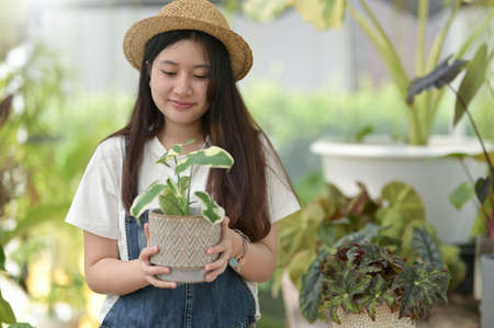 Young woman planting and caring for trees in greenhouses, planting and caring equipment, small business.の写真素材