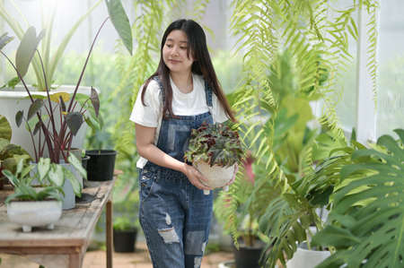 Young woman planting and caring for trees in greenhouses, planting and caring equipment, small business.の写真素材