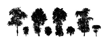 Set of trees silhouette for brush on white backgroundの写真素材