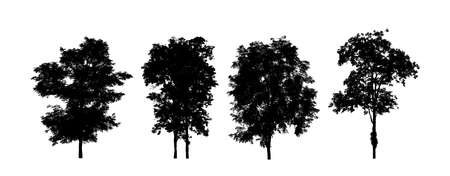 Set of trees silhouette for brush on white backgroundの写真素材