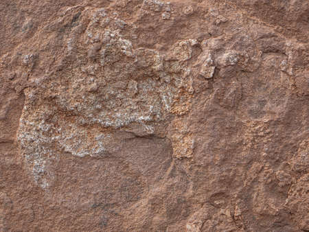 Stones texture nature background photo.