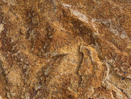 Stones texture nature background photo.の写真素材