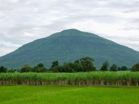 Rain over forest mountains.の写真素材