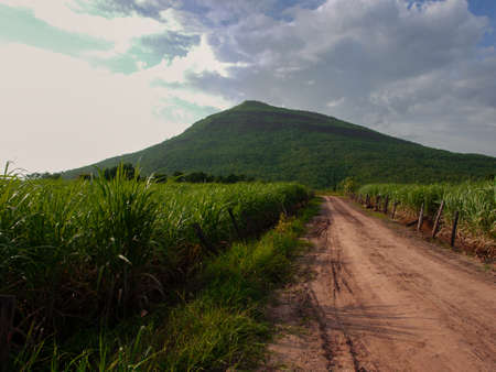 Rain over forest mountains.の写真素材