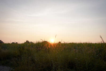 Spectacular sunset over, orange sun rising up over the horizonの写真素材