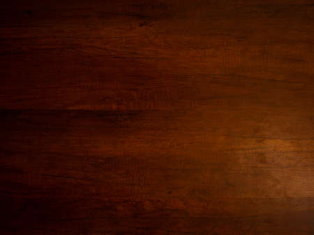 Tree texture backgroundの写真素材
