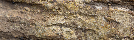 Stones texture nature background photo, High Resolution for 3D.