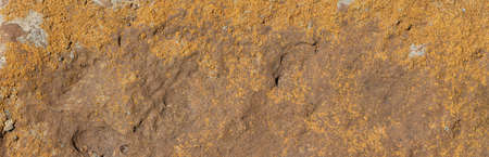 Stones texture nature background photo, High Resolution for 3D.