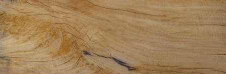 Embossing of wood texture on transparent background. background photo, High Resolution for 3D.