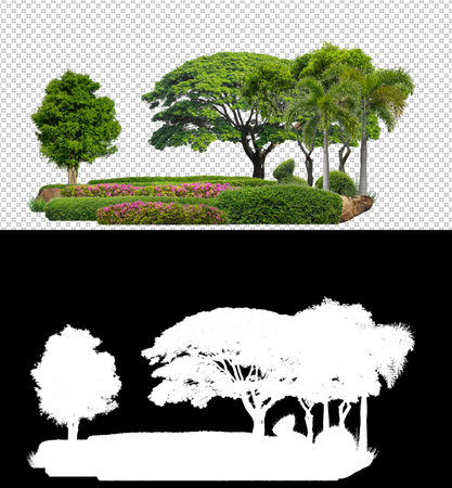 Colorful shrubs, ornamental plants, gardens or parks. isolated on transparent background with clipping path and alpha channel on black backgroundの写真素材