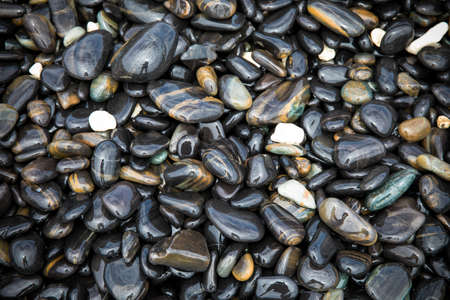 Abstract background of nature black, white, smooth wet stones and Pebble, on the beach.の写真素材