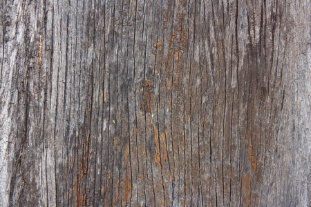 Old wood textureの写真素材