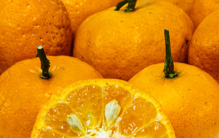 Background made from Orange fruitの写真素材