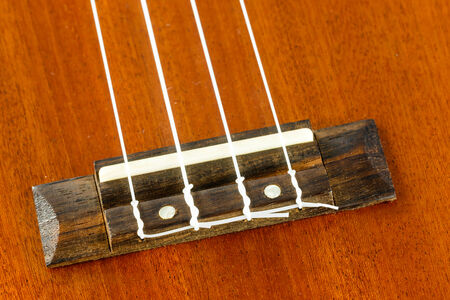 close up part of ukulele hawaiian guitar
