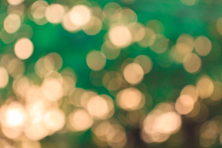 Abstract natural green blurred backgroundの写真素材