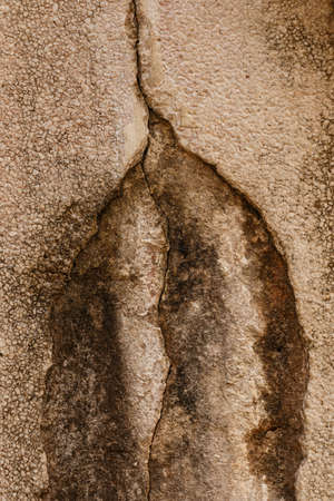 Cracked cement wallの写真素材