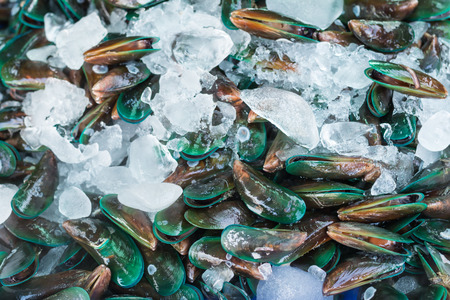 Fresh  mussel with iced in seafood market , Thailandの写真素材