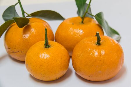 Four fresh raw orangeの写真素材