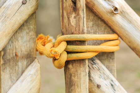 rope tied wood pole close upの写真素材