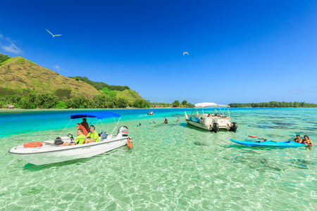 PAPEETE, FRENCH POLYNESIA â JUNE 15, 2016 : The Tourists swimming and feeding sharks and Stingrays in beautiful sea at Moorae Island, Tahiti PAPEETE, FRENCH POLYNESIA on June 15, 2016のeditorial素材