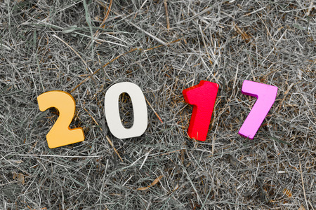 Wooden number of 2017 on grass for new year celebrationsの写真素材