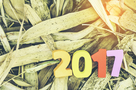 Wooden number of 2017  on bamboo leaves for new year celebrationsの写真素材