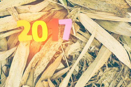 Wooden number of 2017  on bamboo leaves for new year celebrationsの写真素材