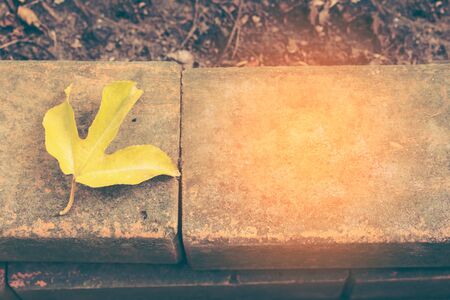 Passion fruit's yellow  leave on the old bricksの写真素材