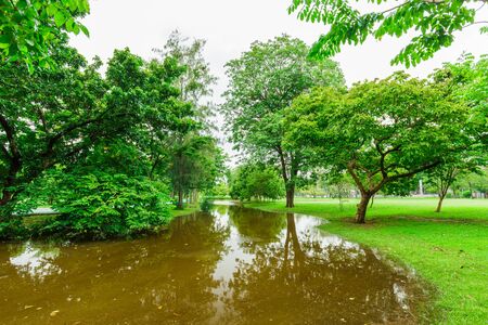 Green city park in sunny summer dayの写真素材