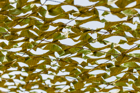 inside of Camouflage mesh hidden military objectsの写真素材