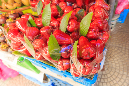 Rose apple in fresh market ,Thailandの写真素材