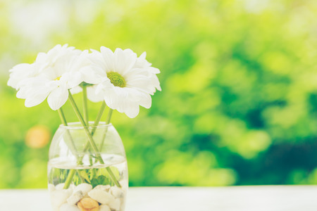 Three white flowers in the glass bottle with nature background , coffee shop interiorの写真素材