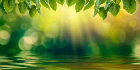 Water reflection Bokeh blur green backgroundの写真素材