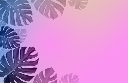 Concept art Minimal background design Leaves monster Pink blue Tropical and leaves in vibrant bold gradient holographic neon colorsの写真素材